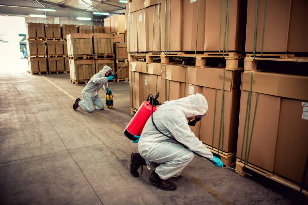 Best Residential Pest Control  in Dagsboro, DE