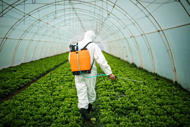 Insect Control in Dagsboro, DE
