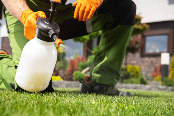 Best Local Pest Control Services  in Dagsboro, DE