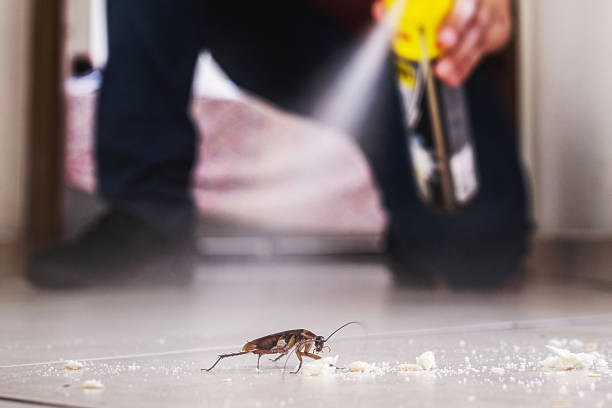 Best Flea Control Services  in Dagsboro, DE