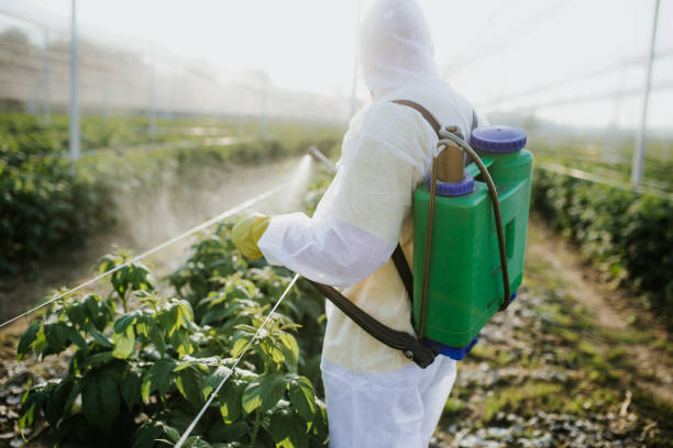Best Commercial Pest Control Services  in Dagsboro, DE